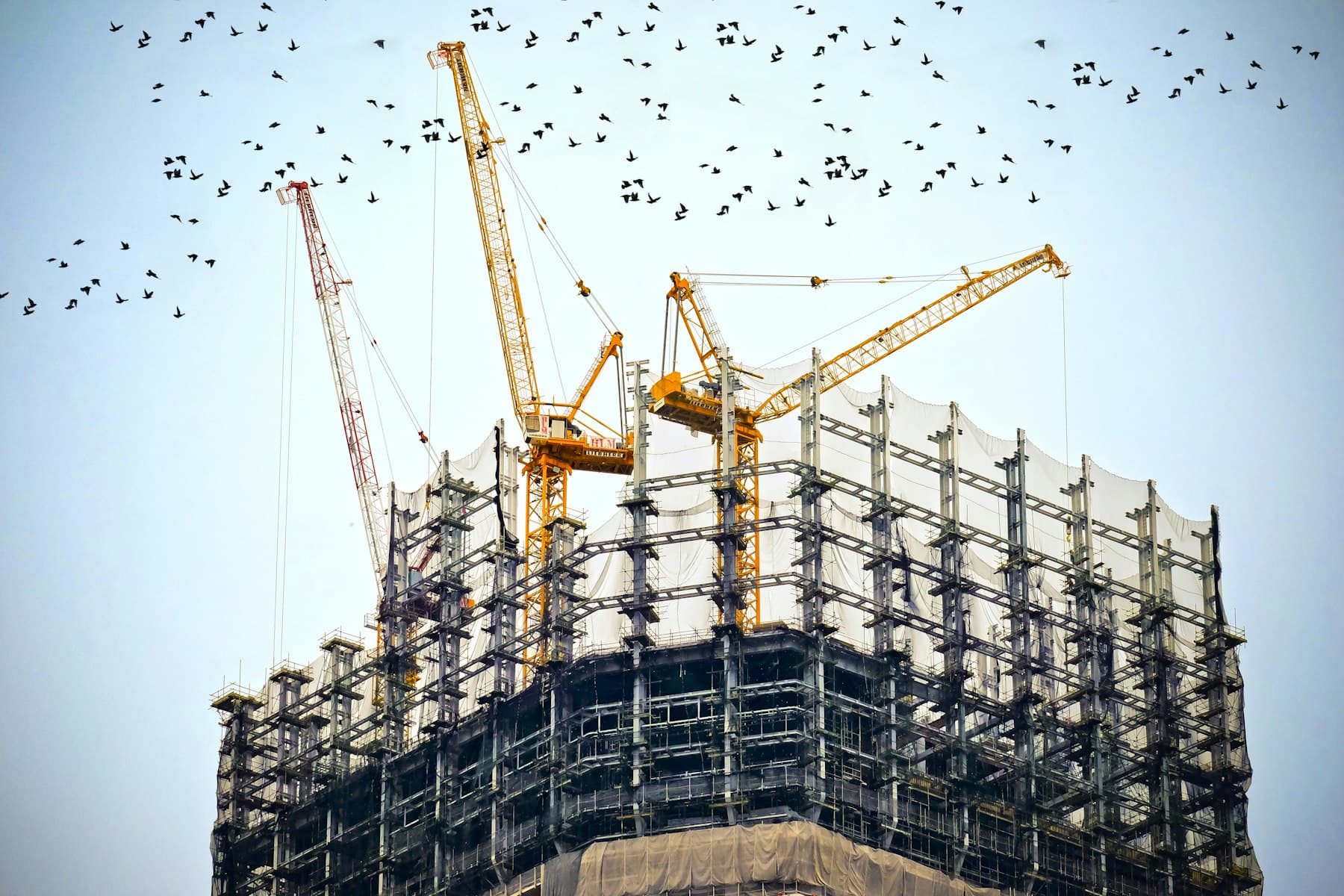 Tower cranes above a building under construction